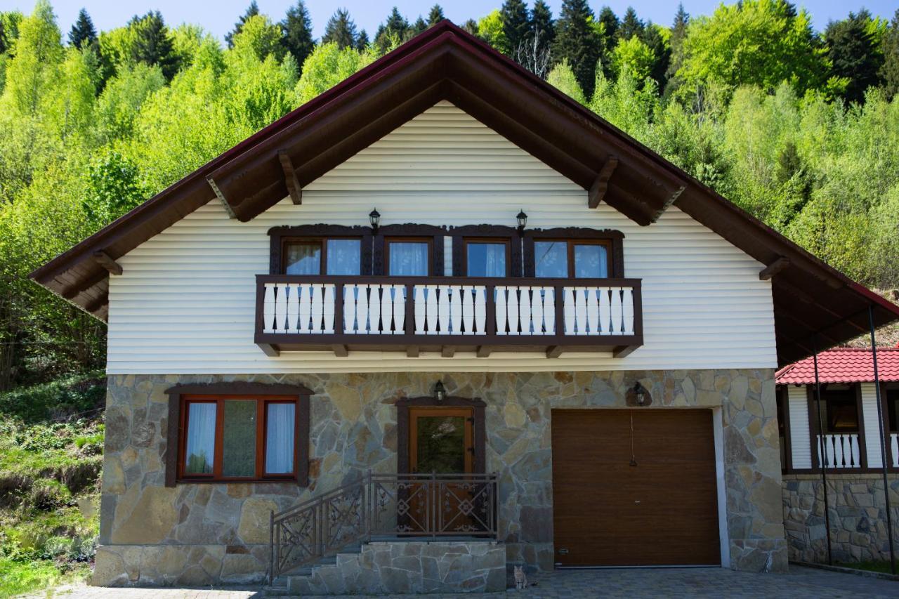 Kamyanka Villa Jaremtsje Buitenkant foto