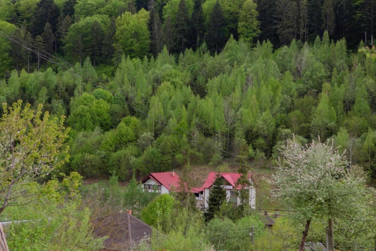 Kamyanka Villa Jaremtsje Buitenkant foto