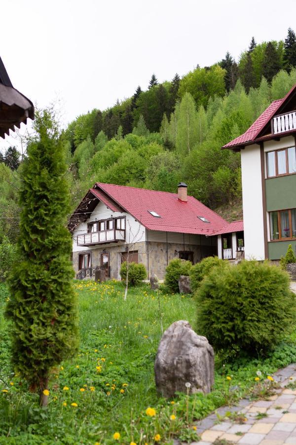Kamyanka Villa Jaremtsje Buitenkant foto