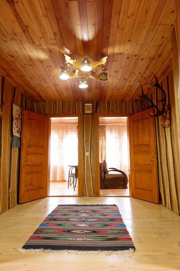 Kamyanka Villa Jaremtsje Buitenkant foto